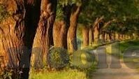 2021国产麻豆剧传媒精品-重塑视听新境界，2021年国产麻豆剧精彩纷呈