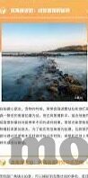 爱情岛AV网站麻豆-