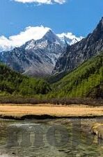国产剧情天美传媒果冻-国产剧情的魅力，天美传媒果冻的独特视角