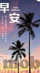 麻豆播放器app-麻豆播放器app的崛起与用户体验