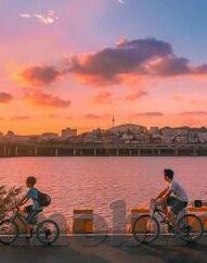 麻豆软件app-探索麻豆软件App，数字时代的魅力与挑战