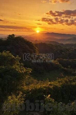 麻豆视频怎么下载官方-麻豆视频下载指南，解锁官方渠道的正确方法