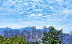 糖心app网站接口跳转-探索糖心APP网站接口巧妙跳转的奥秘
