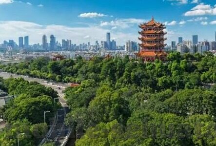 糖心官网在线播放-构建沉浸式体验，糖心官网的线上播放革新