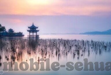 www糖心vlog-探寻网络世界的甜蜜角落，www糖心vlog之旅