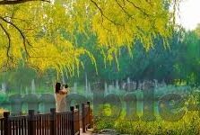 亚洲av日韩av偷拍偷拍-揭秘亚洲与日韩AV行业中的隐私边界，偷拍现象的深层剖析